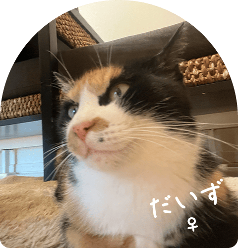 だいず ♀
